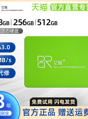 亿储 120G 240G 256G 512G 1TB固态硬盘笔记本台式机电脑硬盘SSD