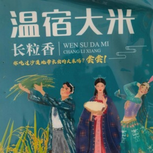 正宗新疆温宿昆托米业沙漠地长出的大米真空装长粒香口感软香包邮