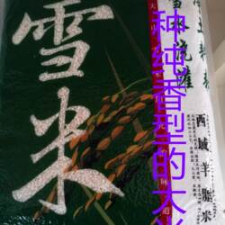 新疆温宿大米源产地天山雪西域羊脂真空装粳米糯性较大油性好10斤