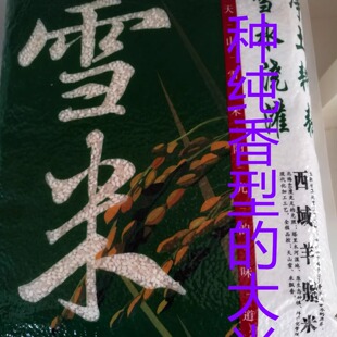 新疆温宿大米产地发货天山雪西域羊脂真空装糯性大油性好两种规格