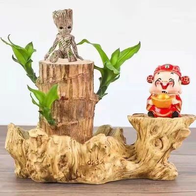 10厘米夏季驱蚊水培花卉室内阳台