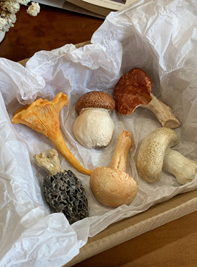 创意蘑菇筷子架冰箱贴复古菌子香插摆件仿真纯手工彩绘创意筷子托