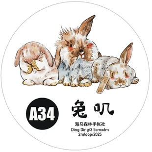 售完不补海马森林第六弹 原创手绘模切和纸PET手帐胶带 A34兔叽