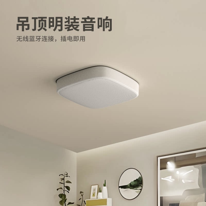 天花板吊顶音响吸顶无线蓝牙商用壁挂式家用壁挂蓝牙音箱店铺专用