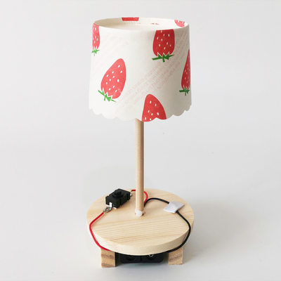 diy台灯科技制作材料技术利用