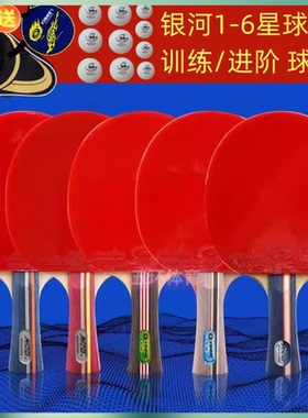 银河乒乓球拍01B 02B 03B/D 04 05 06B双反胶成品拍训练球拍直横