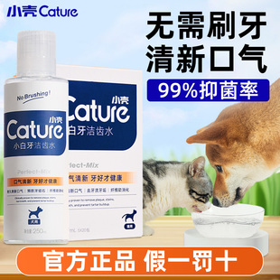 小壳洁齿水猫咪漱口水饮用可食用宠物狗狗口腔清洁口臭牙结石