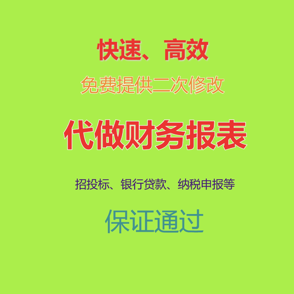 代做企业各类财务报表招投标银行商务服务