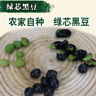 黑豆青仁黑豆打豆浆 免邮 农家自种绿芯 2023新货绿芯黑豆 五斤