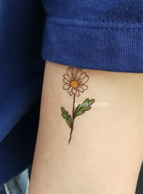 雏菊纹身纹身贴玩味tattoo手腕