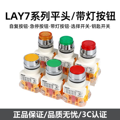 德力西按钮LAY7-11BN自复位平头X/2二三档按钮开关蘑菇头急停自锁