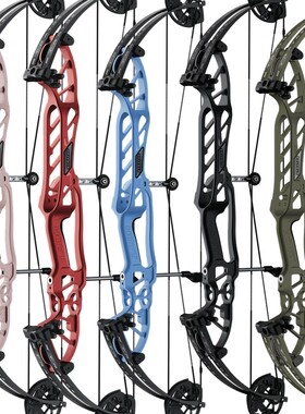 霍伊特风暴平流层HOYT Stratos竞技比赛复合2023款HBTSVX轮组