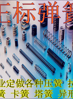 弹簧 定做 不锈钢304 钢丝 扭簧 压簧 异形簧 卡簧 塔簧 定制弹簧