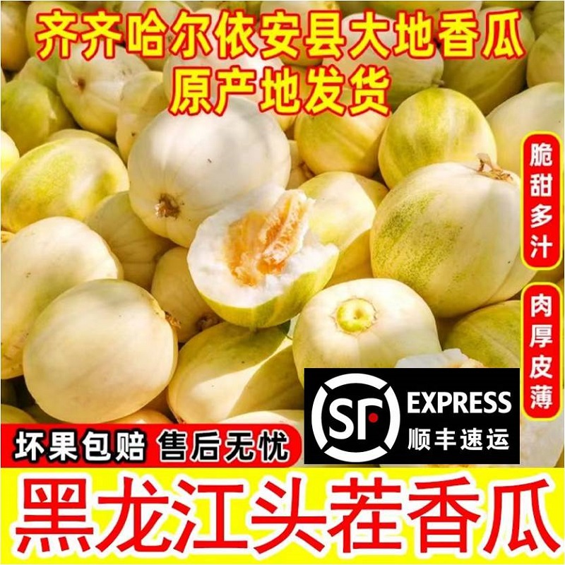 东北黑龙江特产香瓜甜瓜脆甜多汁应季新鲜水果现摘现发顺丰包邮