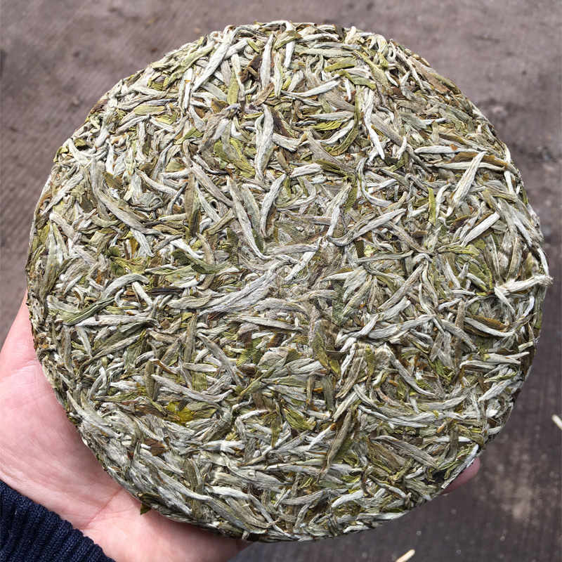 头春茶芽白毫银针300g饼2021头春