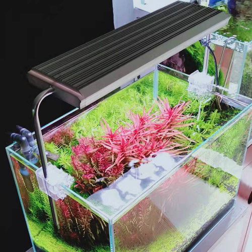 超白鱼缸水陆缸生态造景缸节能灯