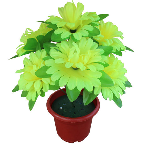 祭祖上坟菊花束清明节花祭祀用花