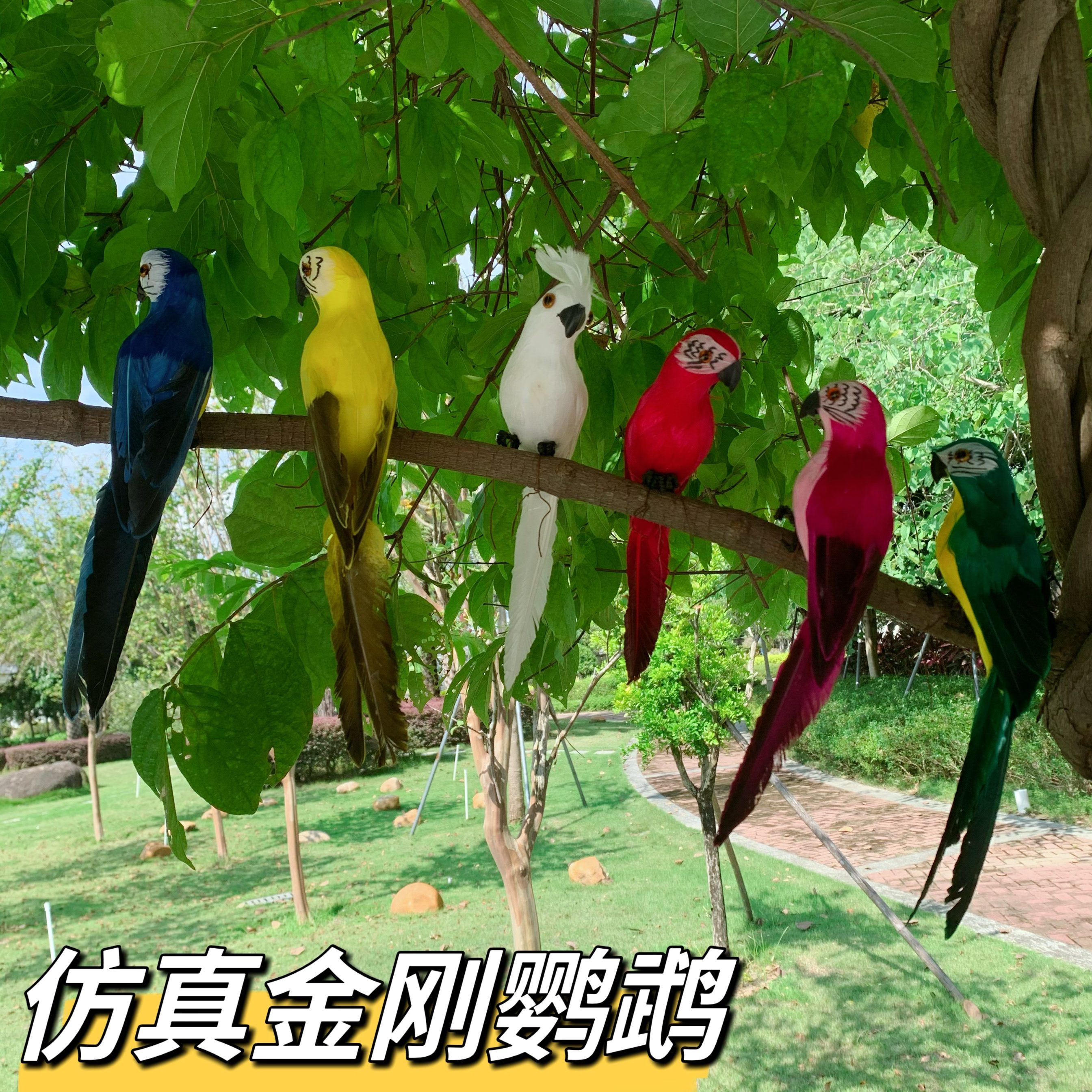仿真金剛鸚鵡模型可愛鳥擺件裝飾品客廳玄關(guān)假鳥寵物拍照攝影道具