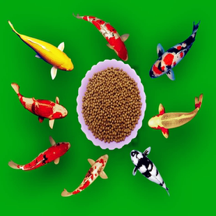 通威153浮水颗粒金鱼锦鲤鱼观赏鱼饲料增体增色高蛋白5斤实惠装