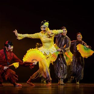 《冰凌花》第十四届荷花奖舞蹈服东北秧歌扇子舞舞台表演服演出服