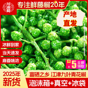 重庆江津特产九叶青花椒新鲜真空保鲜藤椒50g*12袋生麻椒鲜花椒粒