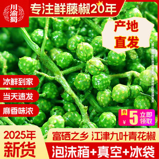 重庆江津特产九叶青花椒新鲜真空保鲜藤椒50g*12袋生麻椒鲜花椒粒
