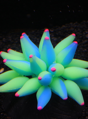 鱼缸饰品SH042装饰品仿真海葵珊瑚造景水族海水用品荧光绿色环保