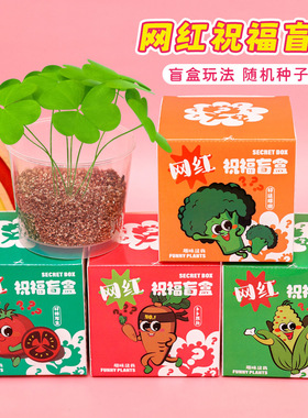 2025儿童种植盆栽小盲盒