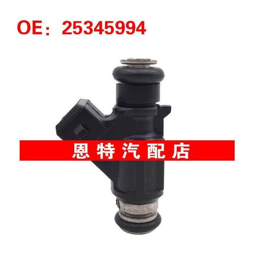 适用于长城哈弗江淮奇瑞 燃油喷射器 德尔福喷油嘴 25345994