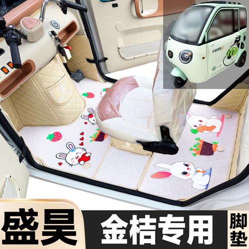 盛昊金桔专用卡通图案低速电动三轮老年代步全包围电动车脚踏垫