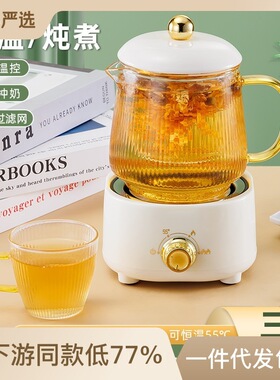 多功能养生壶办公室大容量养生杯电热杯煮花茶烧水other/其他 D2