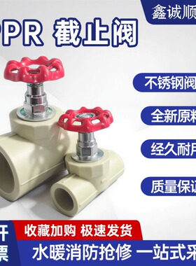 灰色PPR截止阀门水阀开关4分6分2寸热熔铜升降卡簧阀6375110大号