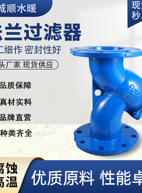 Y型法兰过滤器管道除污器铸铁法兰Y型过滤阀DN50 65 80 100 125