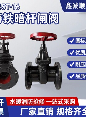 Z45T-10/16铸铁暗杆闸阀HT200铜芯闸门消防自来水法兰闸阀DN10080