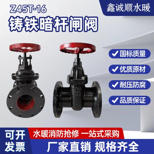 Z45T-10/16铸铁暗杆闸阀国标铜芯