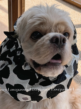 【全尺码】宠物防脏头套 边牧可卡查理美卡史宾格泰迪比熊雪纳瑞