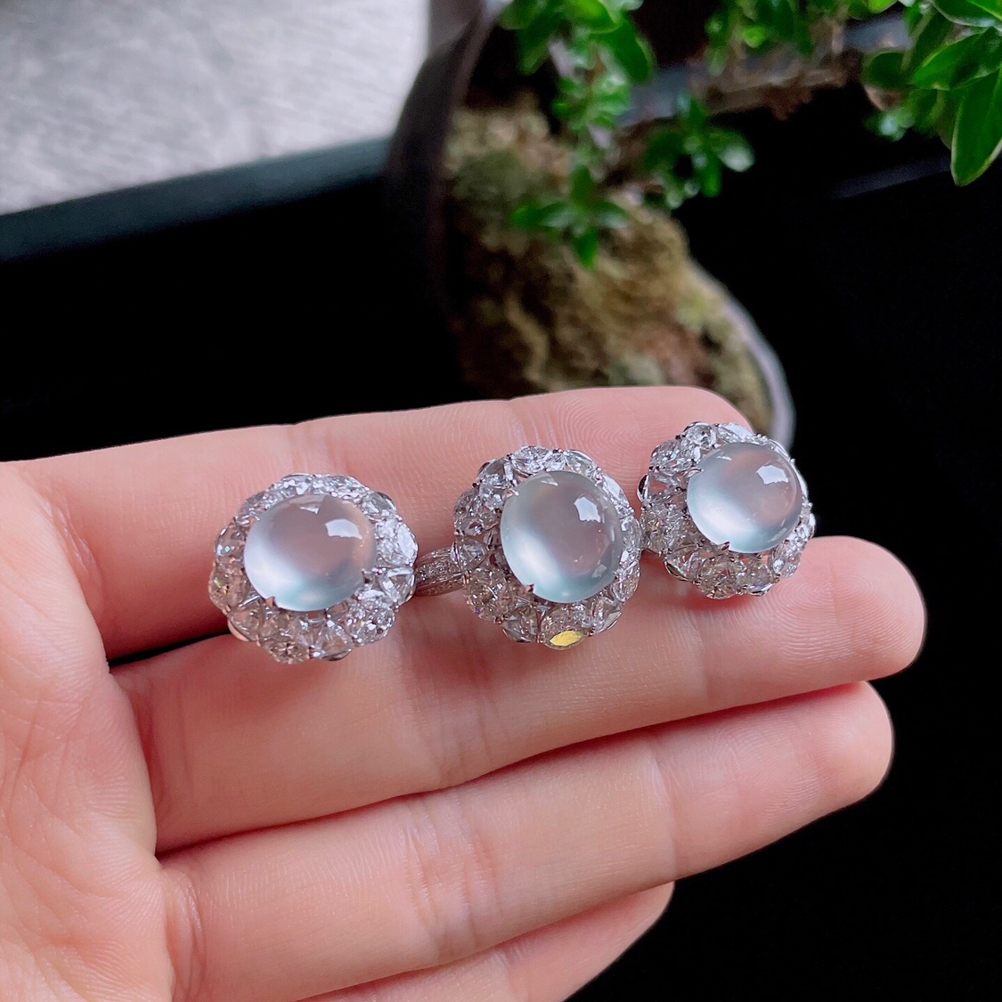 2025天然缅甸翡翠A货冰玻种白冰蛋面耳钉戒指18k金镶嵌1027ZC113