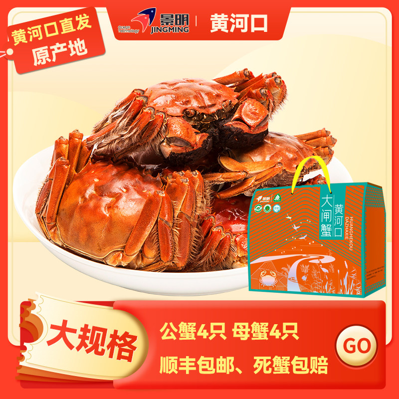 【活蟹】景明黄河口大闸蟹鲜活现货8只装 公蟹4.0两 母蟹3.0两