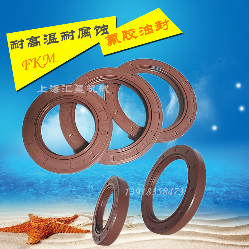 台湾NAK骨架油封 氟橡胶骨架油封 TC型氟胶油封 耐高温耐腐蚀油封