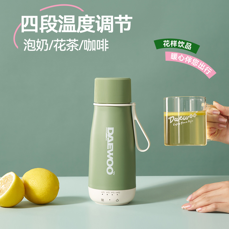 电热杯旅行保温杯可调温便携式