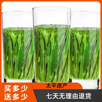 【专享福利】2026新茶太平产地布尖绿茶猴魁茶树种