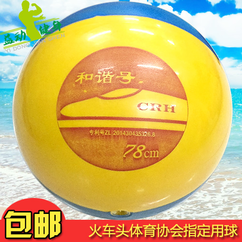 Ballon de volley-ball - Ref 2010577 Image 1