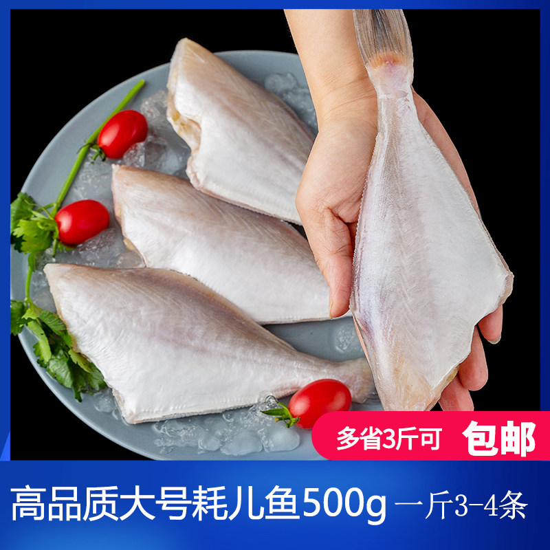 大号耗儿鱼500g 扒皮鱼海鲜 橡皮鱼马面鱼新鲜冷冻 重庆四川包邮