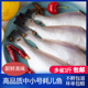 中号小号耗儿鱼500g扒皮鱼海鲜马面鱼剥皮鱼新鲜冷冻火锅食材 包邮