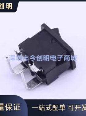 跷板开关DPST SS21-BBIWP2-R 全新原装 15x21mm 黑色按钮 船型