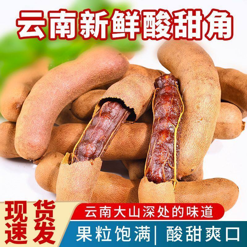 云南正宗酸甜角大果罗望子西双版纳酸豆角新鲜甜角带壳甜酸角零食