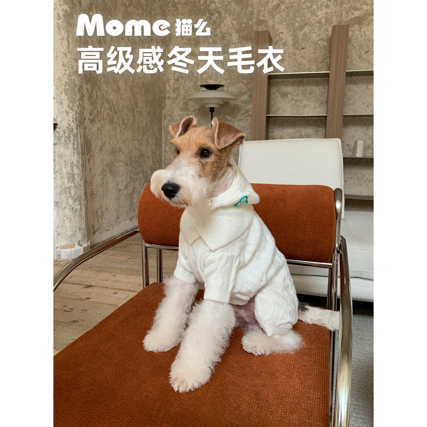 狗狗冬天衣服保暖装潮牌网红款帅
