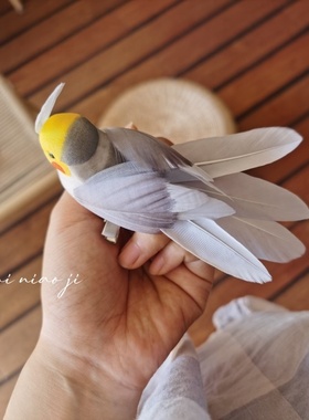 百鸟集原创手作 仿真Q版灰色玄凤鹦鹉超萌 小鸟发夹肩章胸针