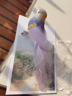 百鸟集原创设计 店主亲作 鸟中的紫霞仙子 小鸟羽毛胸针发夹头饰