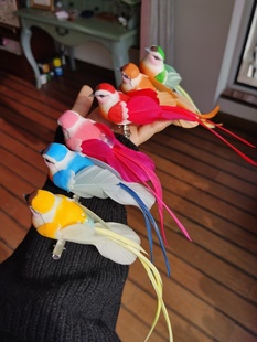 百鸟集原创手工 手绘彩色长尾小鸟拍摄舞台发饰发夹胸针